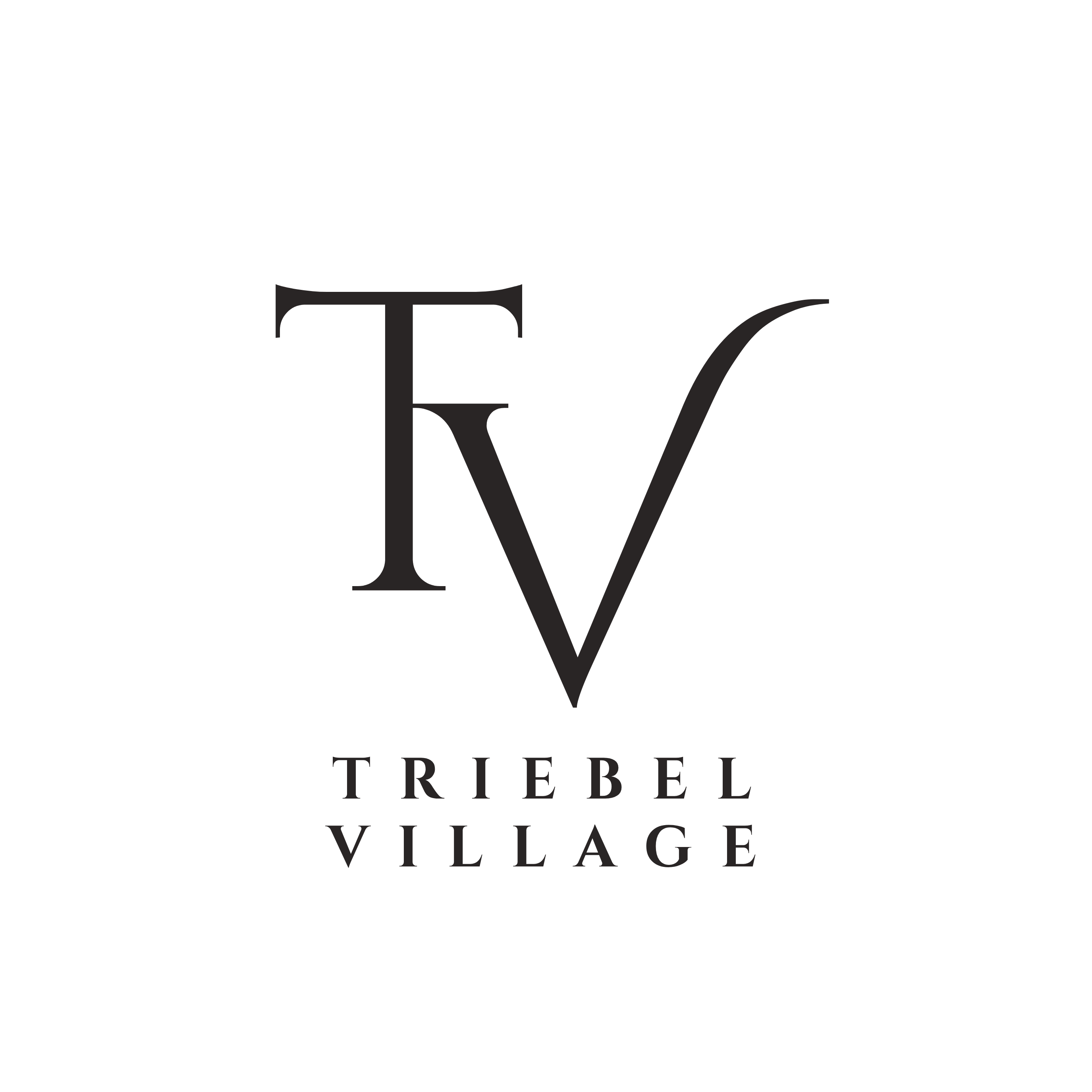 A logo with the letters "TV" and the words "Triebel Village" below it.